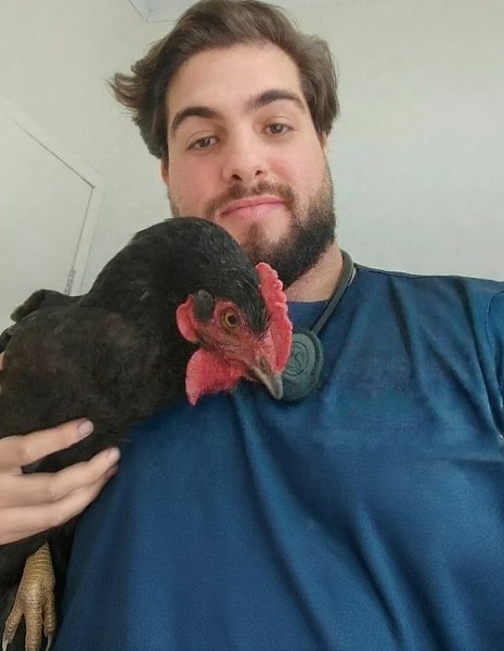 26-    ,         ... - 3