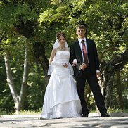 ���������, 43 ����, �������