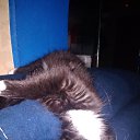 ���� �������, ������, 51 ��� - ��������� 21 ������ 2024 � ������ ������ ��������