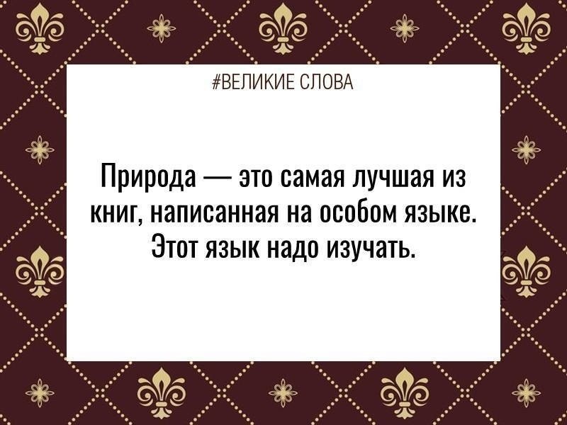 ������� ����� | ������, ����� � �������� - 20 ������� 2025 � 19:39