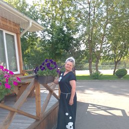 , 53, 