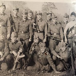 ������, �������, 46 ���