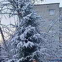 ���� �������, �����-���������, 67 ��� - ��������� 16 ������ 2025 � ������ ���� ����������