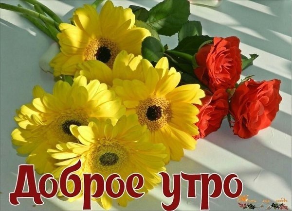   - 28  2025  07:55