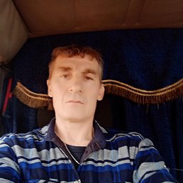 , 51, 