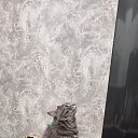 ���� ����, �����, 42 ���� - ��������� 12 ������ 2024 � ������ ���� ����������