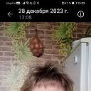   ., , 50  -  31  2025    