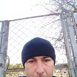 , 41, 