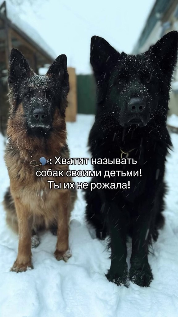 �� ����� ����)