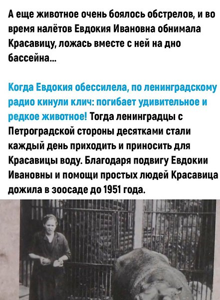 Сейчас почти все сытые сидят и думают: