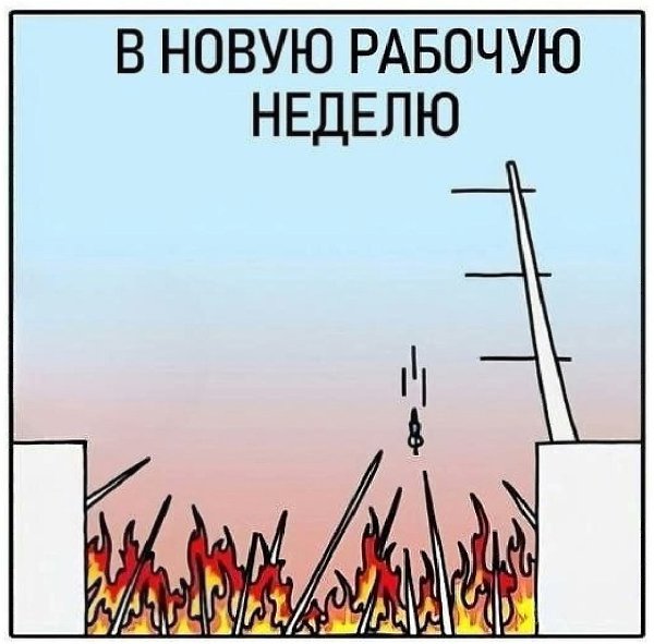  - 29  2025  14:08 - 4