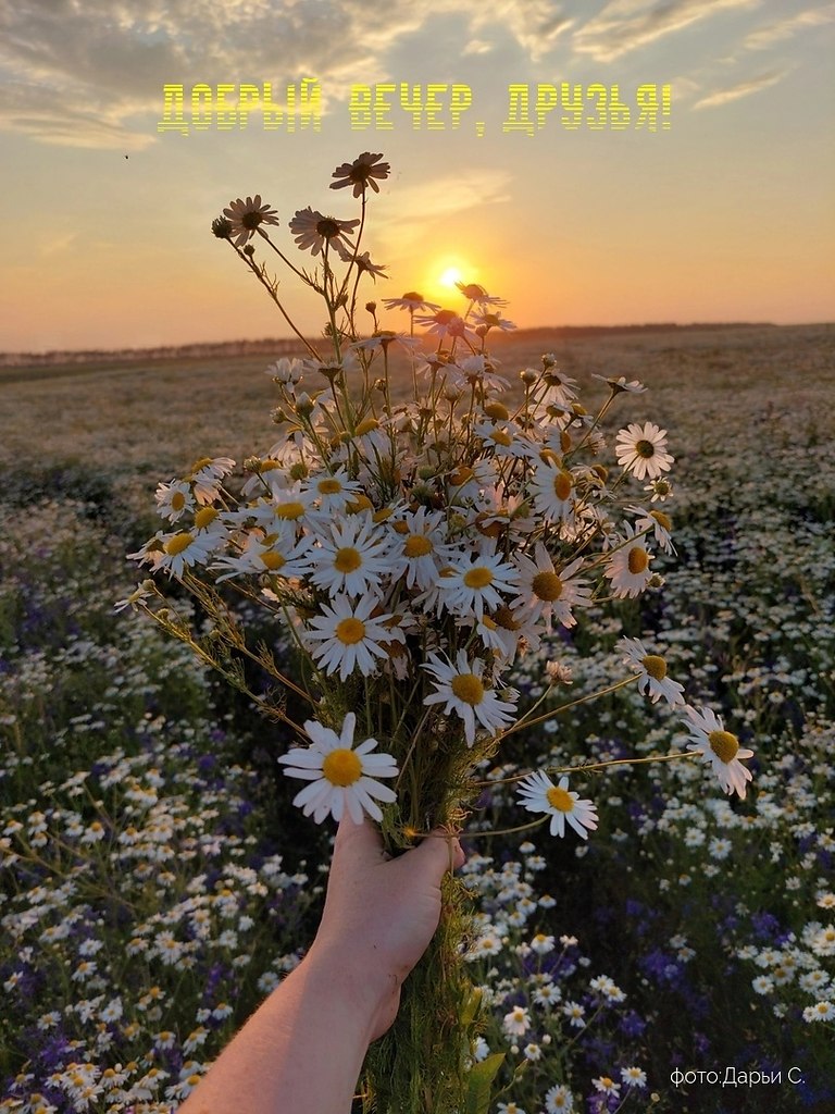   ,    . - 11  2024  18:21