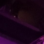 ���������., 38 ���, ������