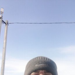 , 53, 