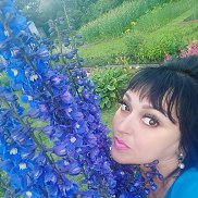 , 41 , -