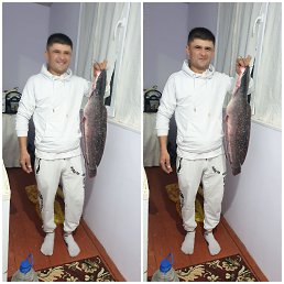 ���� �����, ������, 41 ��� - ��������� 3 ���� 2024