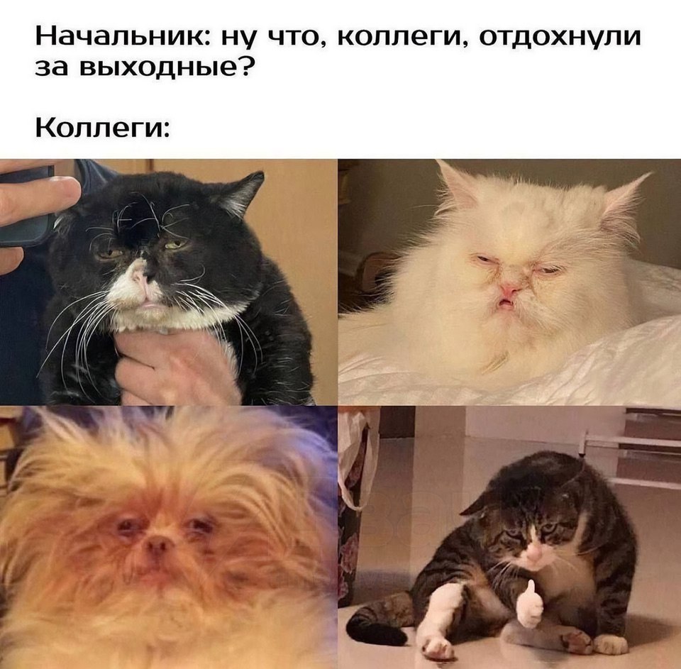 ��������� - 15 �������� 2025 � 18:40