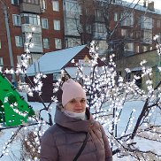 �����, 43 ����, ����