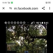  , 55 , 