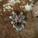 ���� �����, ����� - ��������� 1 ������� 2025 � ������ ������ ��������