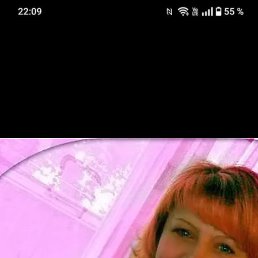 ����, �������, 40 ���