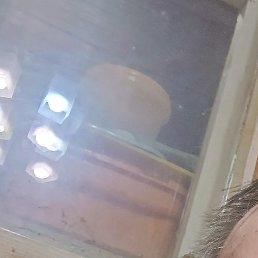 �������, ����, 55 ���