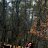 ���� �������, Tartu, 54 ���� - ��������� 24 ������� 2024