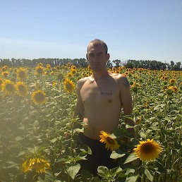 , 37, 