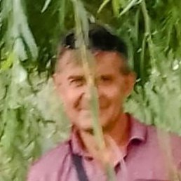 ���������, ������, 55 ���