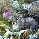 ���� �������, ���������, 71 ��� - ��������� 19 ������� 2025 � ������ ������ ��������