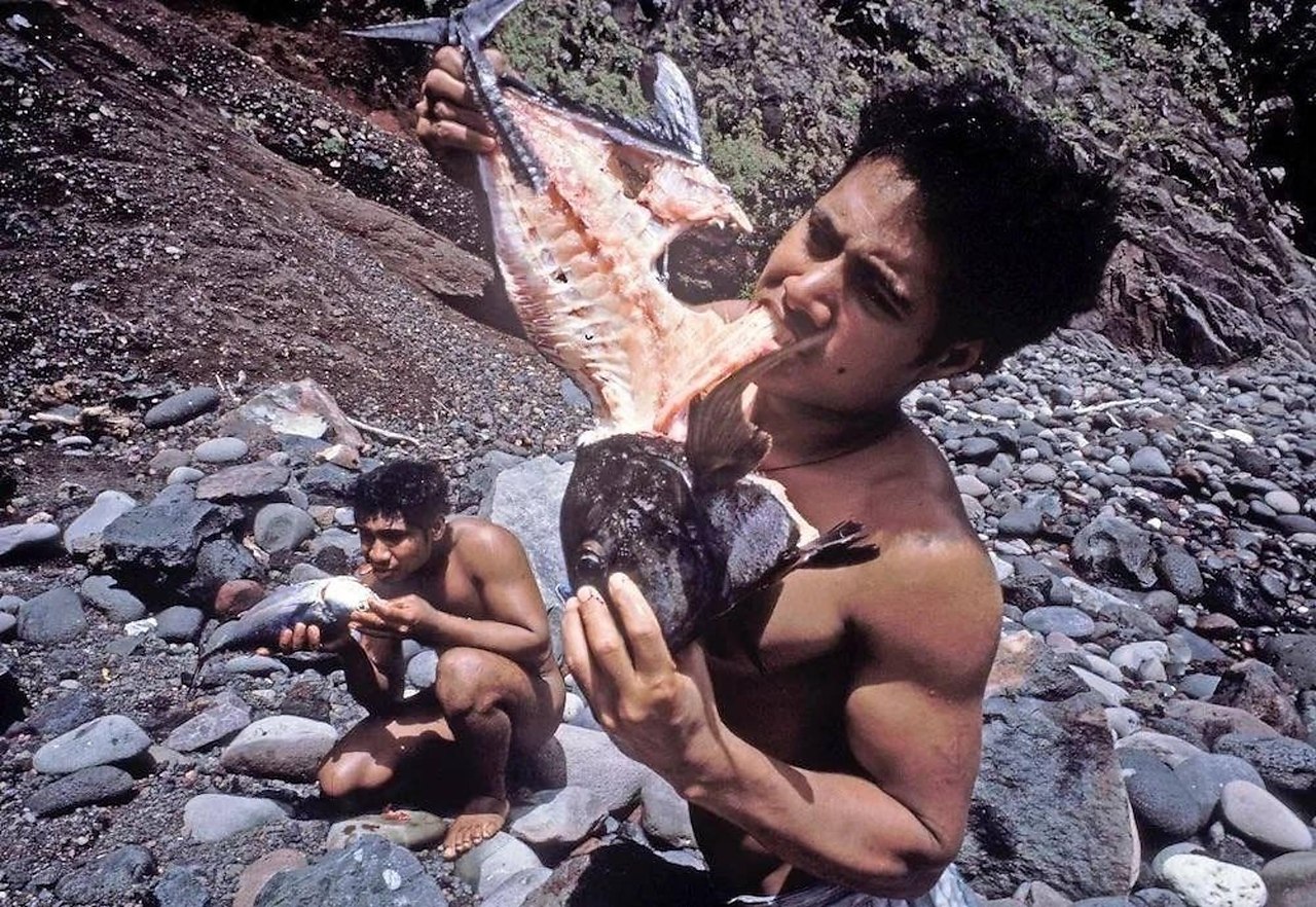  1966            .     ... - 4