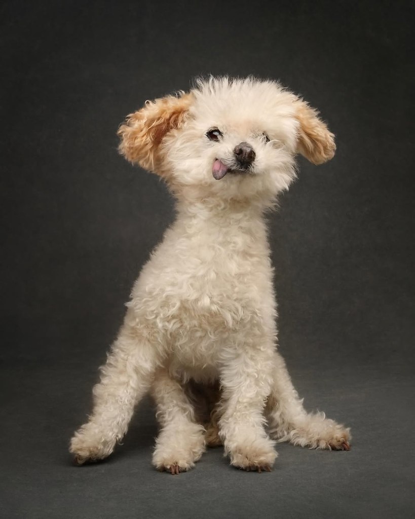 ,  .    ,    ,     18  - 5