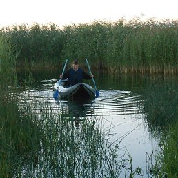 �������, ������, 36 ���