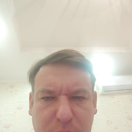  , 49, 