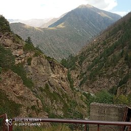 ������, ������