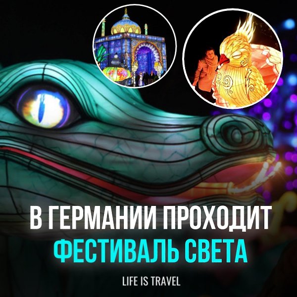 Зоопарк в Галле стал еще более волшебным благодаря открытию фестиваля