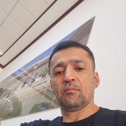 , 40, 