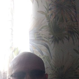 �������, ������������, 48 ���