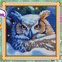 ���� C������� Avon, ����������, 45 ��� - ��������� 18 ������� 2023 � ������ ���� ����������