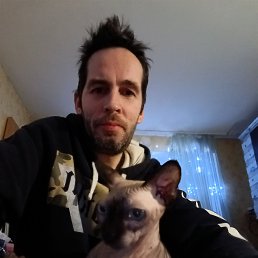 �����, 42 ����, ������