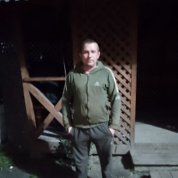 , 40, 