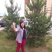 ����, 27 ���, �����������