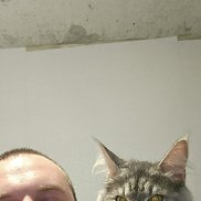 , 31 , 