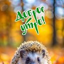 ���� �������� �������, �������, 38 ��� - ��������� 26 ������� 2024 � ������ ���� ����������