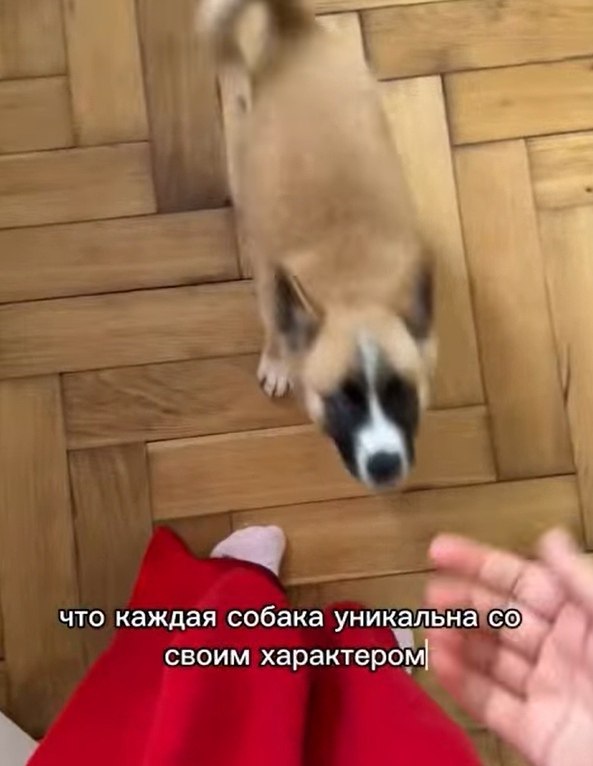  ,  -      ?