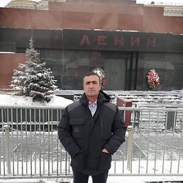 , 55, 
