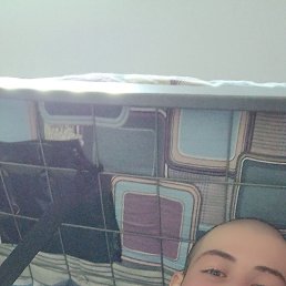 , 22, 