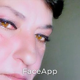 �����, ��������, 49 ���