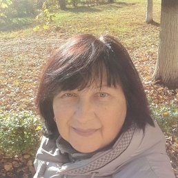, 62, 