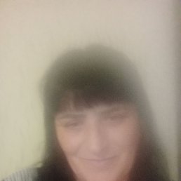 , 58, 